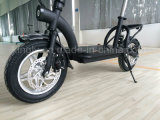 300W Lithium Electric Scooter Es1202