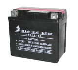 Motorcycle Battery (YTX5L-BS)