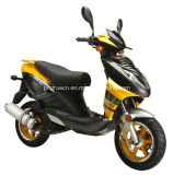50cc Gasoline Scooter with EEC Certification (SP50QT-05)