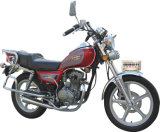 Motorcycle (GW125-C)