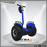 High Quality Self Balancing 800W Electric Scooter
