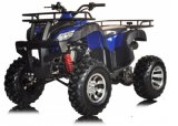 High Quality Classic ATV Quads 4 Wheelers 150cc 200cc (HD200ST-Q)