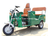 110cc for Passenger Tricycle with Front Cabin (DTR-10)