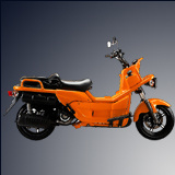 Gas Scooter (RY250T-10)