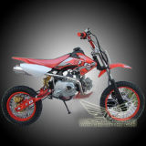 110CC Dirt Bike (YX-G007-1)