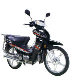 Motorcycle (ACE100-3)