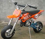 Dirt Bike (FSDB08)