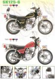 Smart Motorcycle - 125cc (SK125-6)
