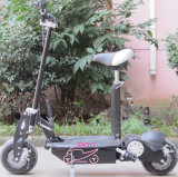 Personal 500W/800W/1000W Electric Scooters Electric Mobility Scooter