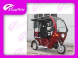 Disabled Scooter, Handicapped Tricycle, Discapacitados Triciclo, Driver Cover Tricycle