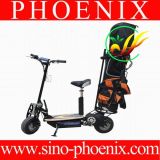 Electric Scooter 1000W48V with Brushless Motor