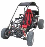Raider Pro Go Kart (250cc) - Single