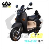 Zhongchi Hot Sale 800W 60V20ah High Power E Electric Motorcycle (TDR-316Z)