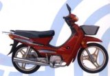 Motorcycle AJD100-C