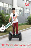 Big 19 Inch 2 Wheel Balance Scooter with Cool Bluetooth