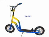 Scooter(WS-09)