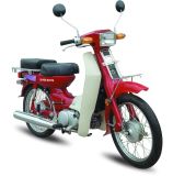 Motorcycle (SM80(CY80))