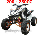 New Quad Bike / ATV CE Quad 200cc / 250cc (DR773)