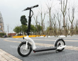 300W Two Wheel Folding E Scooter/E Scooter for Adult