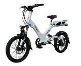 Electric Scooter CE