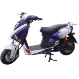 E-Motorcycle (DM-10Z)