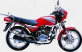 Motorcycle DJ110-5