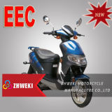 EEC Moped Scooters (ZW50QT-10)