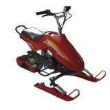 Snow Mobile (CCE-01)