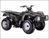 250CC ATV (ATV250S-1)