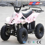 110cc ATV Quad for Kids