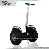 Hot Selling Electric Scooter, Big Power Golf Electric Scooter