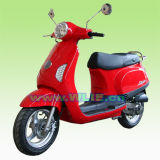EEC Gas Scooter Maple 50 (MAPLE 50)