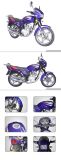 Motorcycle (Xinfengrui RY125-6)