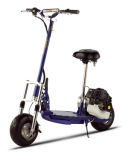 Gas Scooter (XW-GS550)