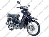 Motorcycle (FT110-2)