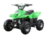 Thunder Cat 110cc Quad Bike Kids ATV with Electric Start and Automatic