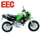 50cc/110cc Dirt Bike With Eec