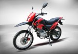 Hot Sale off-Road Motorcycle for Honda Bros