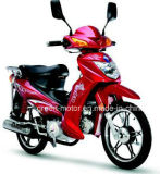 50cc/70cc/100cc/110cc Moped, Motorcycle, Motorbike, Cub Motor (Guard Boy)