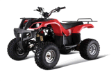 250CC ATV (GBTA68-250)
