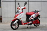 Electric Motorcycle (EM301)