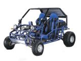 EEC / COC Approved 250cc Water-Cooled Go Kart (FG250E-B)