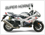 New CVT Racing Motorcycle (Super Hornet)