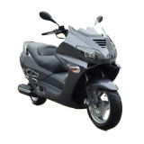 New EPA, DOT Scooter Moped (YY250T)