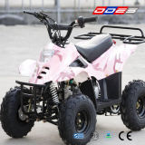 Mini ATV Quad for Kids (LZ110-2)
