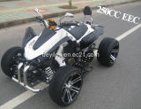 EEC / Coc 250cc Sports Racing ATV