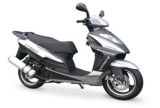 EEC Approved Gas Scooter (STORM150-B)