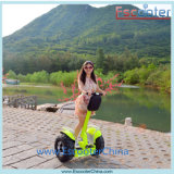 2016 Ecorider Two Wheel Stand up Electric Scooter for Traveling