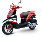 50cc for Moto Scooter with EEC Certification (SP50QT-13)