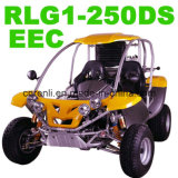 250CC EEC Buggy (RLG1-250DS)